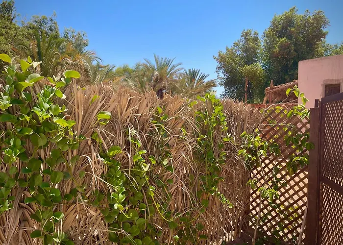 Little Oasis